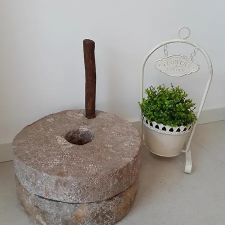 Casa Ossonoba Kwatera prywatna Dystrykt Faro